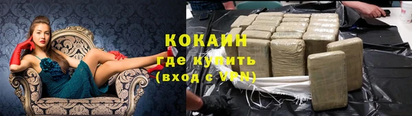 МДПВ Инсар
