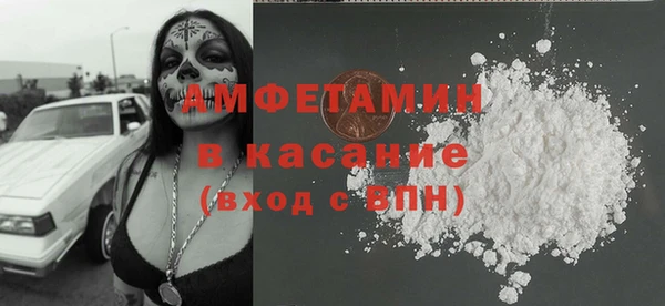 дживик Инта