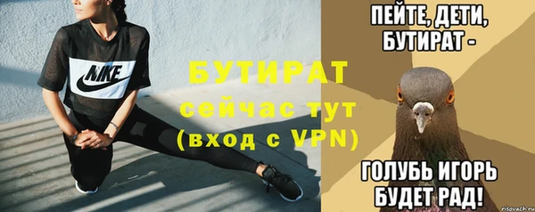 МДПВ Инсар