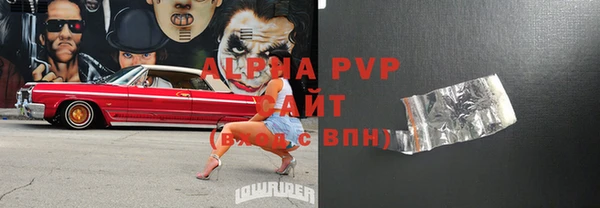 МДПВ Инсар