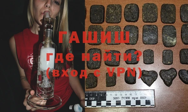 дживик Инта