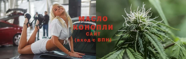 МДПВ Инсар
