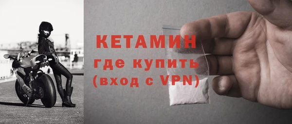 дживик Инта