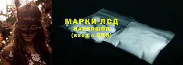 дживик Инта