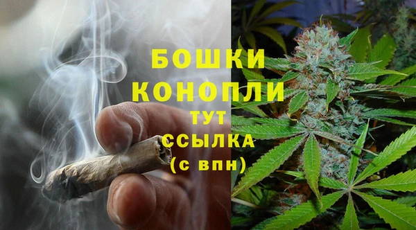 МДПВ Инсар