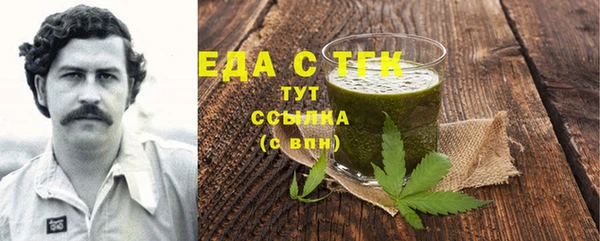дживик Инта