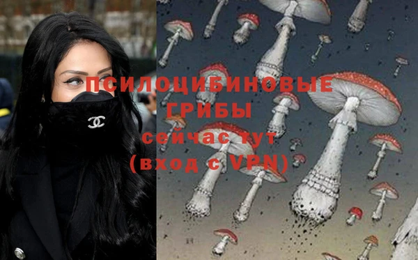 дживик Инта