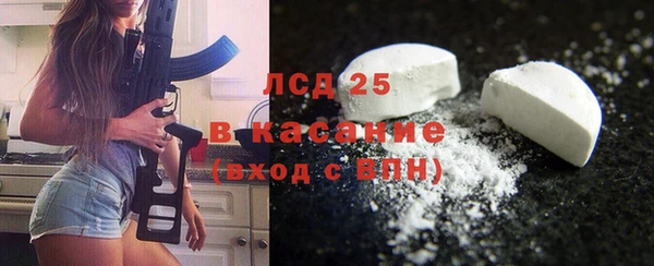 дживик Инта