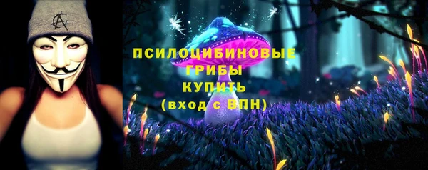 МДПВ Инсар