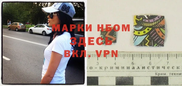 МДПВ Инсар