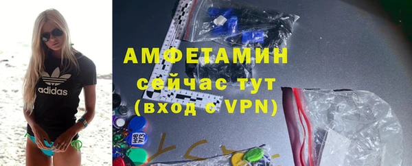 МДПВ Инсар