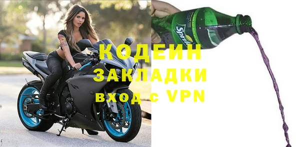 дживик Инта