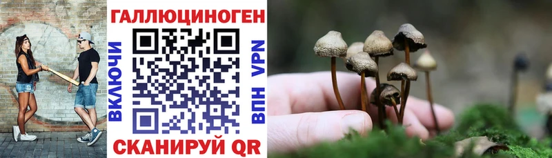 Галлюциногенные грибы Psilocybine cubensis  Купить закладки  Верещагино 